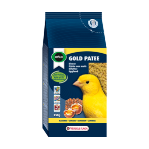 gold patee