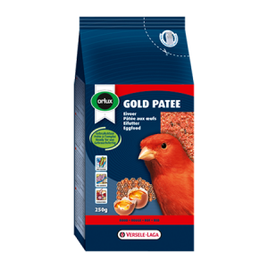 gold patee red