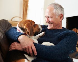 نگهداری سگ کمک به سالمندان