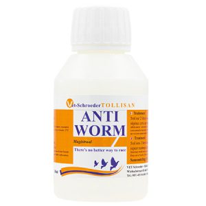 Anti-Worm