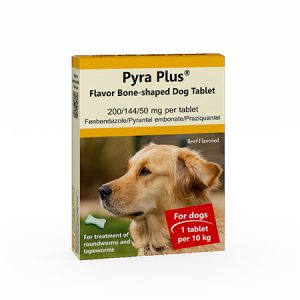 Pyra Plus